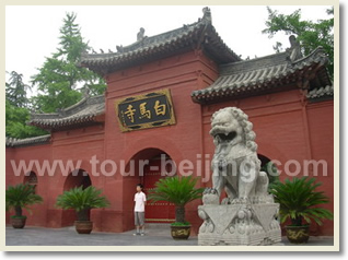 Beijing Xian Luoyang Suzhou Hangzhou Shanghai 12 Day Train Tour